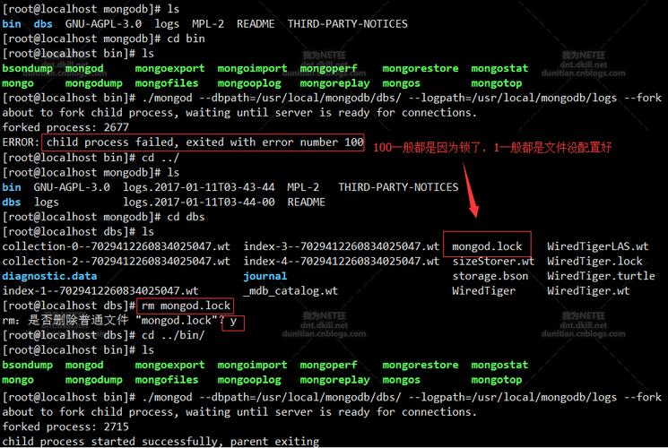 mongodb导入数据报错