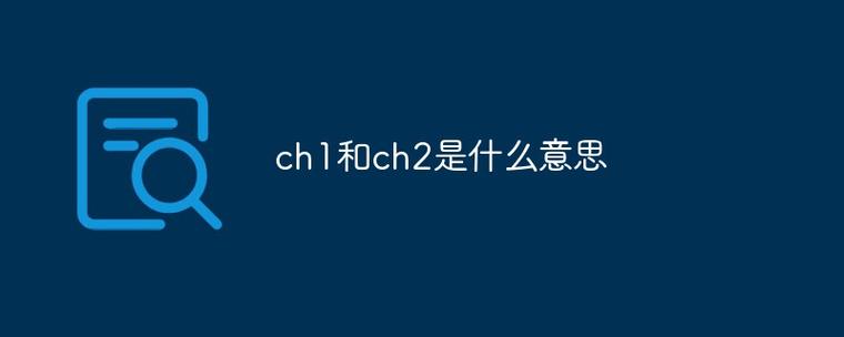 ch1和ch2是什么意思