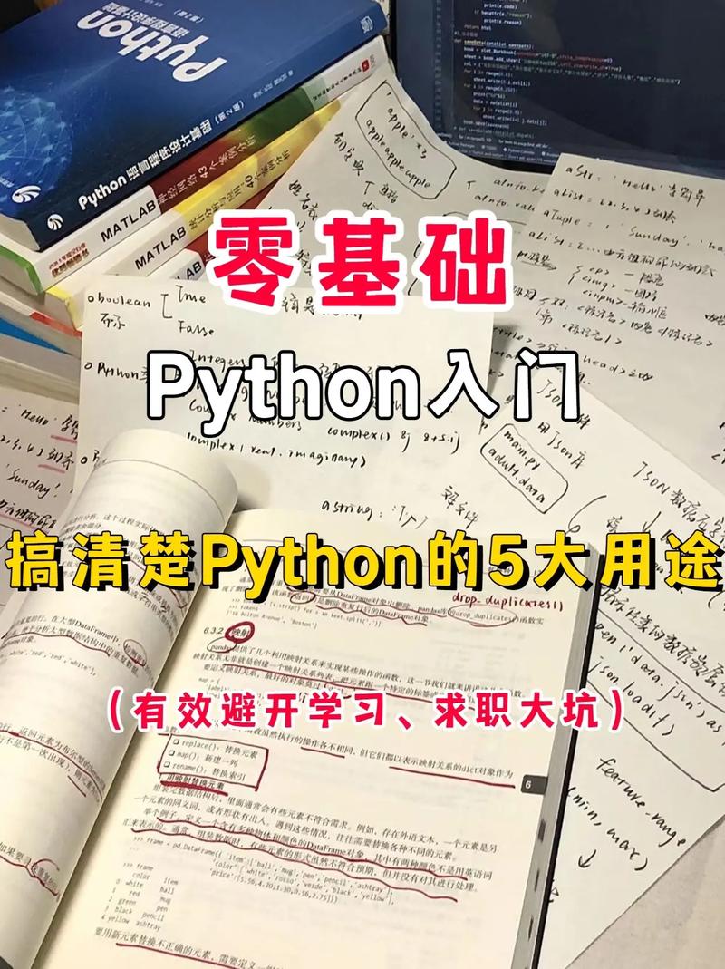 python就业如何写
