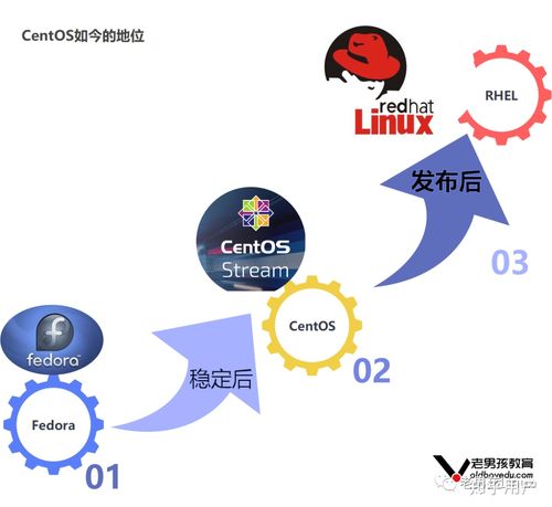 “CentOS和Ubuntu的区别：你应该选择哪个操作系统| Ubuntu和CentOS 2022年更新的详细比较”