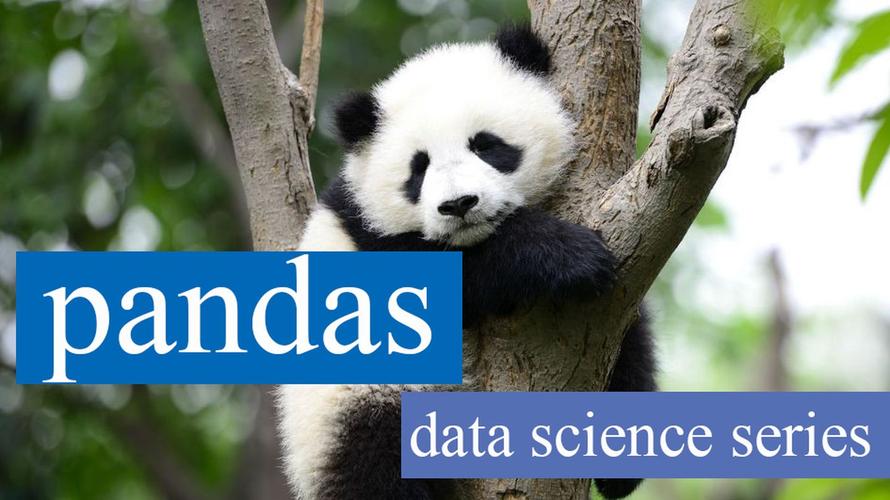 module pandas has no attribute dataframe
