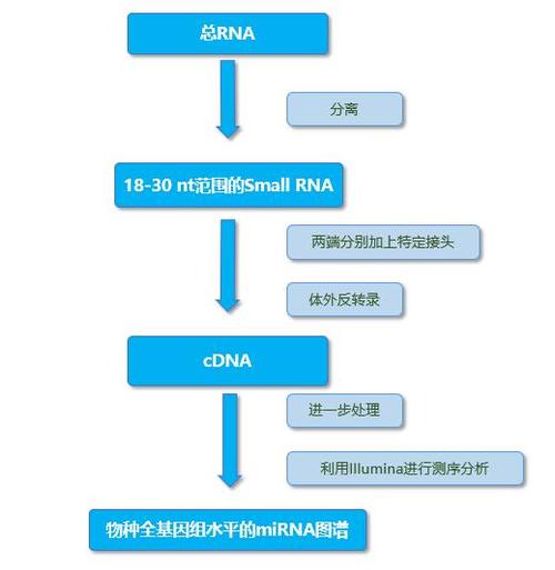 基因密码的解读：从DNA测序到个性化医疗