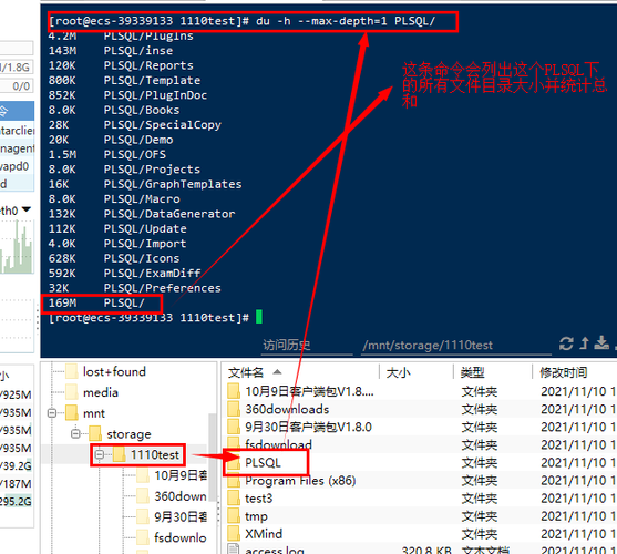 Linux 查看文件大小并排序