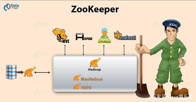 zookeeper是什么意思