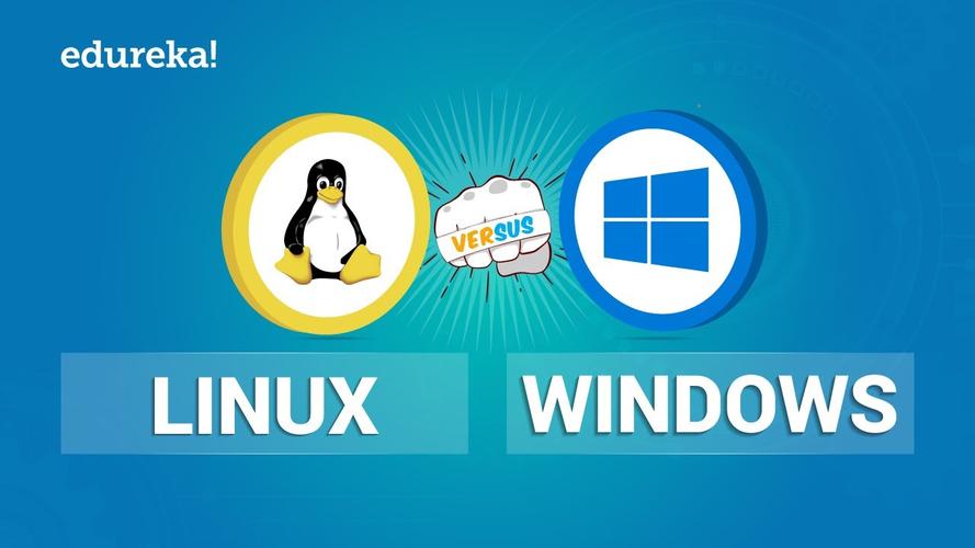 操作系统选择Windows还是Linux？看完就明白了