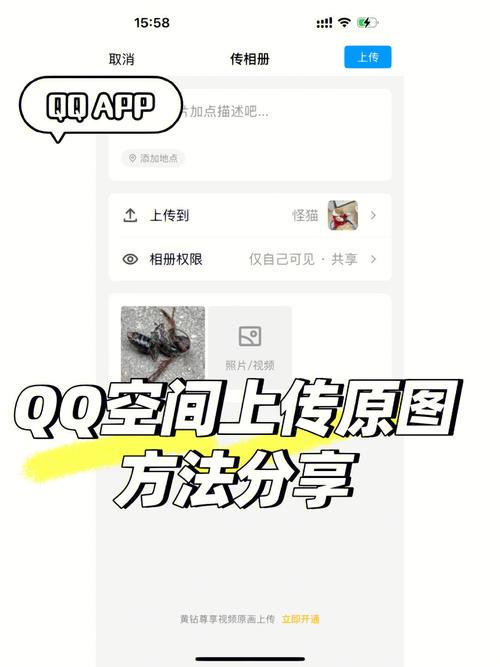 QQ相册为什么不能转让