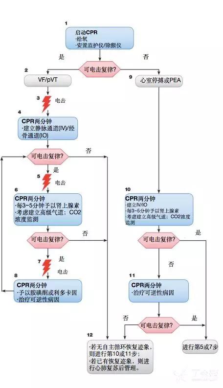 Nacos心跳探测的具体原理和实现是什么？