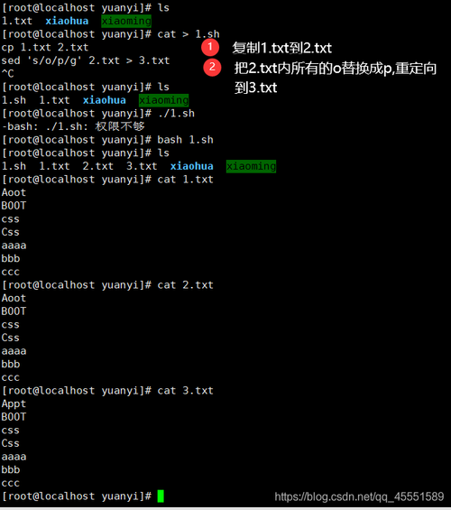 Linux中怎么使用grep命令过滤特定进程信息