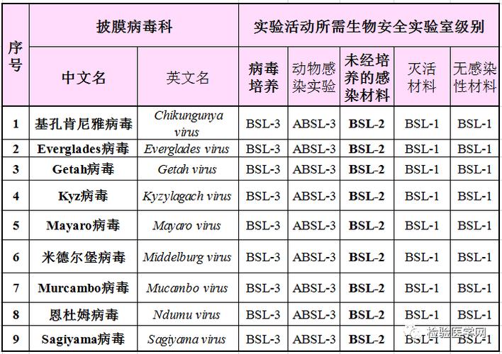 美国服务器特洛伊木马病毒种类有哪些