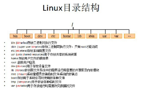 Linux下查看目录大小