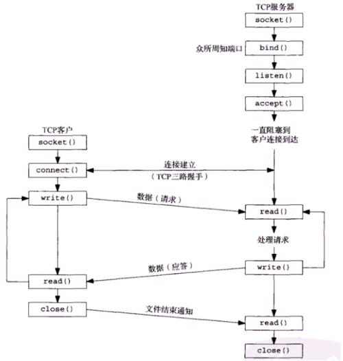 c语言创建原始套接字 C#语言