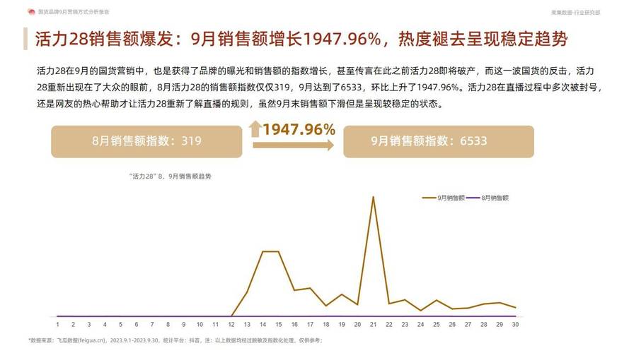 品牌数据分析_定制双品牌