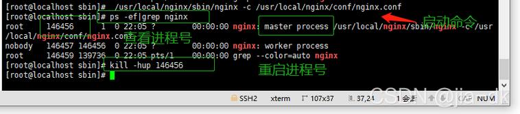 nginx 操作，启动、停止、重启