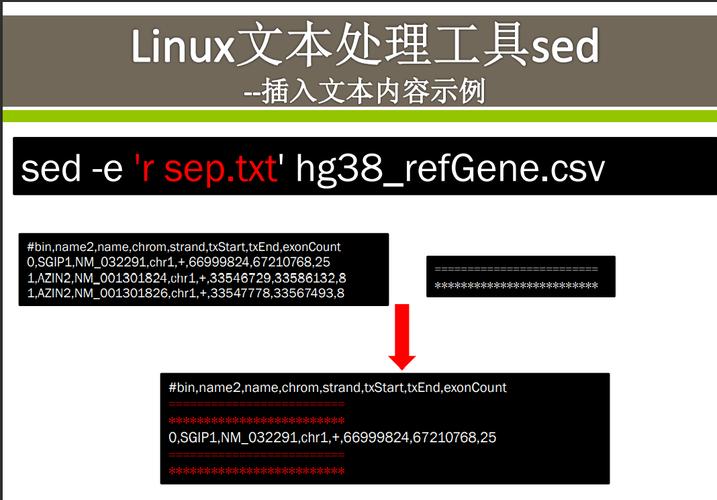 Linux_sed 工具