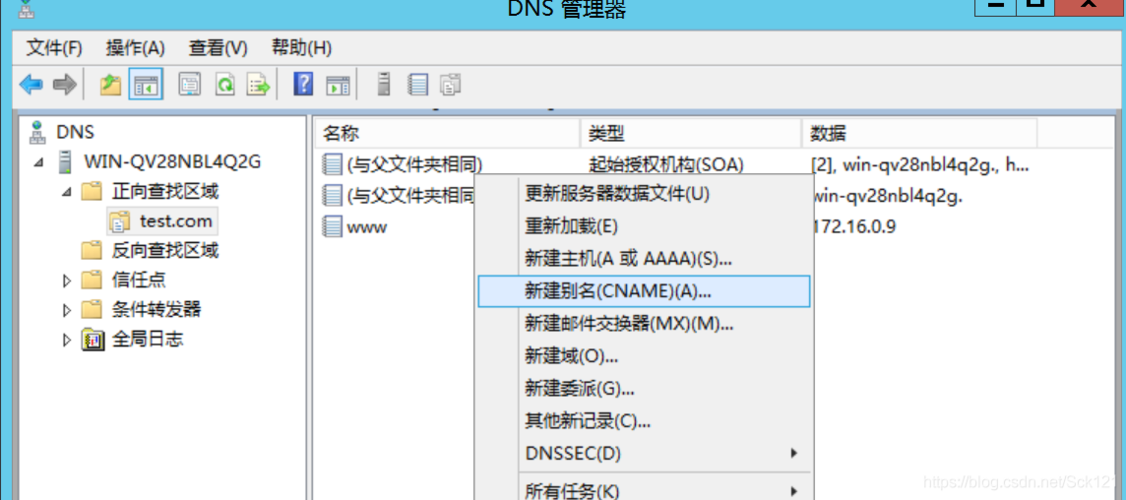 配置dns和web服务器是什么_配置DNS