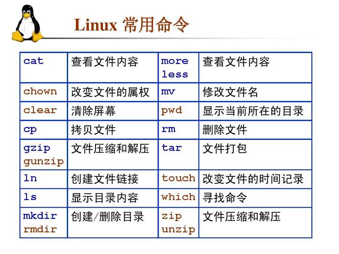 Linux文件管理类命令常用使用方法