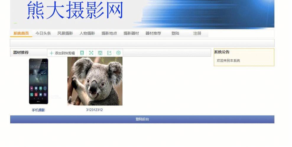 asp网站文章自动更新_ASP报告信息