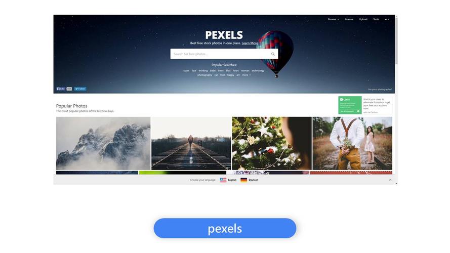 pexels中文网站 方案