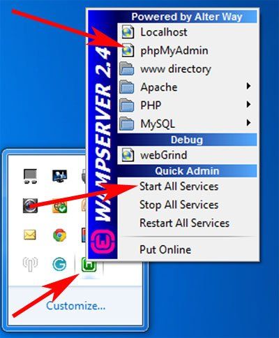 Wamp Server 的安装步骤