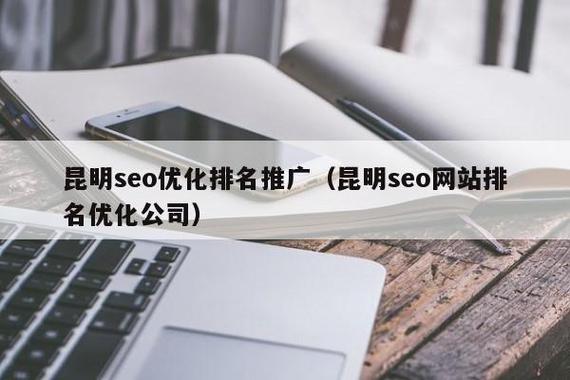 昆明seo网站排名优化_网站推广（SEO设置）