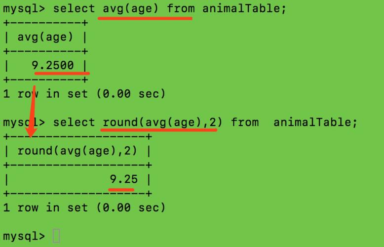 python 查看mysql数据库_Mysql数据库