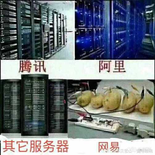 土豆服务器走丢了什么情况