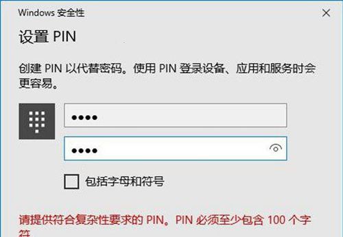 pin是什么意思