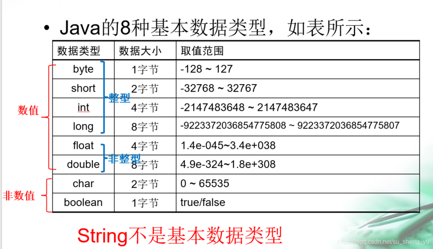 java四种变量类型