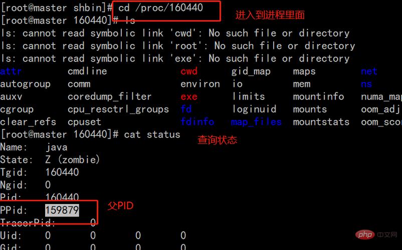 linux中怎么kill掉某个用户的所有进程