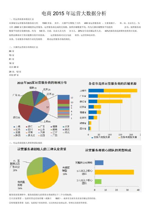 大数据分析报告_大数据分析