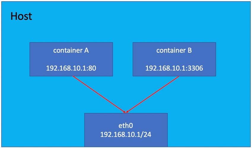 docker 设置网络宿主_宿主变量