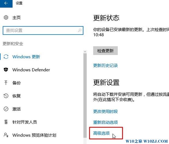 Win10系统delivery optimization服务占用网速怎么办？