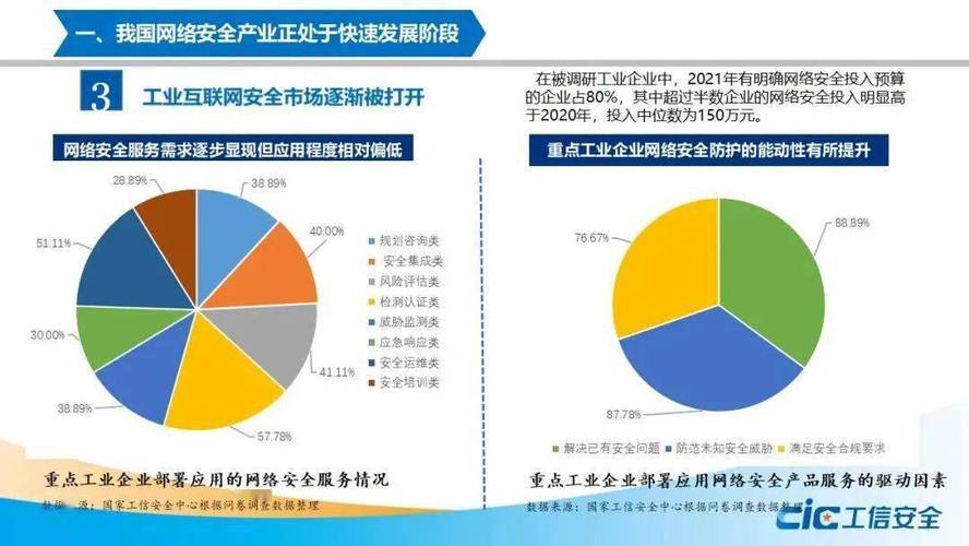 国内网络安全公司分析_网络安全