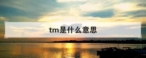 tm是什么意思