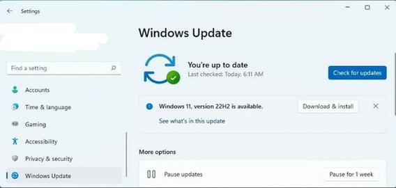 Win11 23H2更新时间太长怎么办？