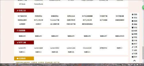 国内大的网站建设公司排名_网站服务在国内如何设置加速网站域名？