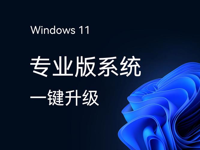 Win11专业版怎么样？