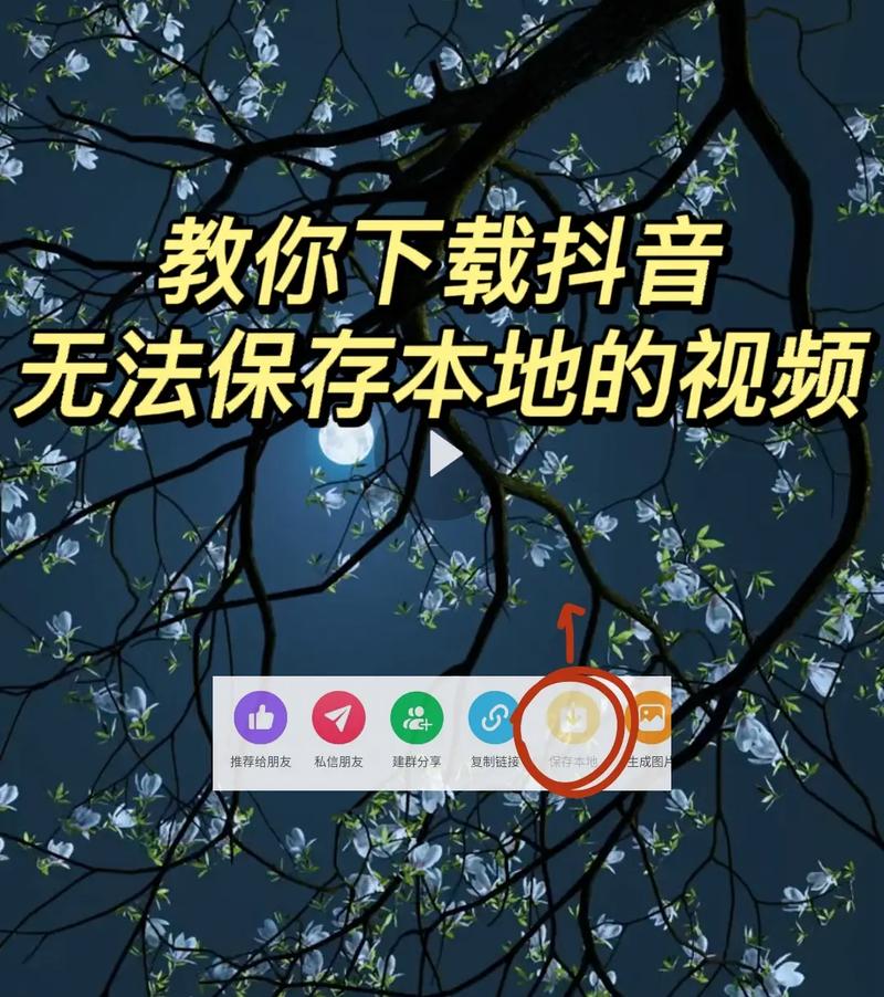 抖音下载短视频为什么下载不了