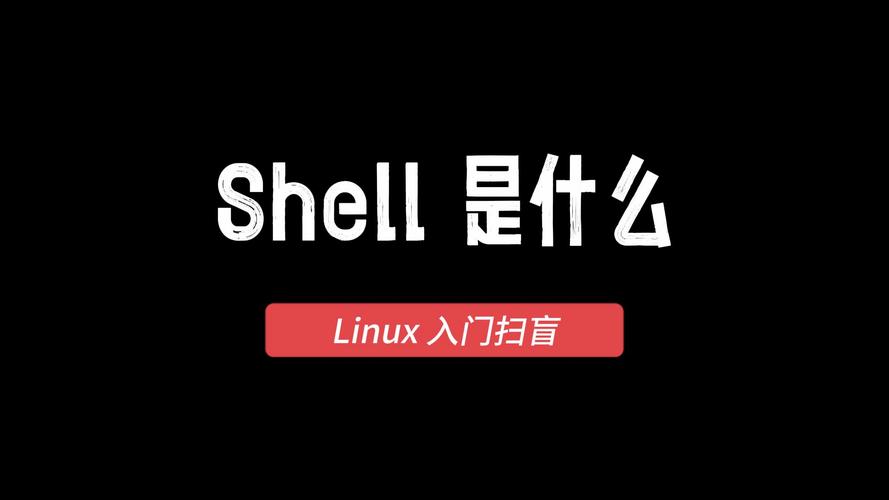 shell是什么意思