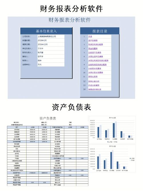 财务报表软件_财务报表识别