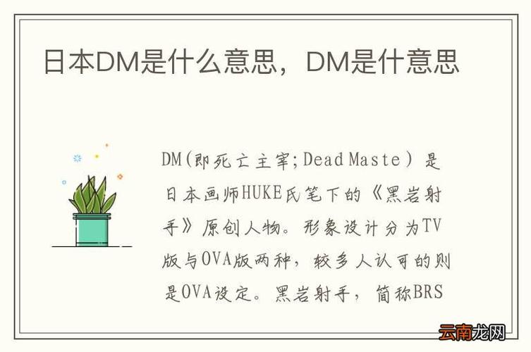 dm是什么意思