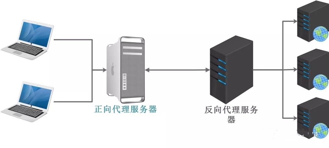 为什么非要反向代理服务器