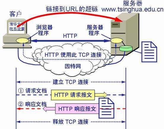 www服务器把信息组织成为什么