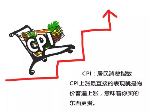 cpi是什么意思啊