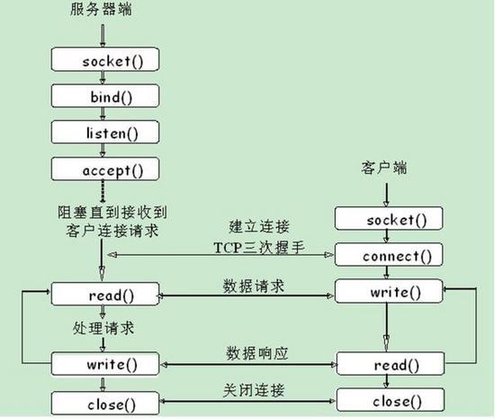 服务器主要用什么语言写的