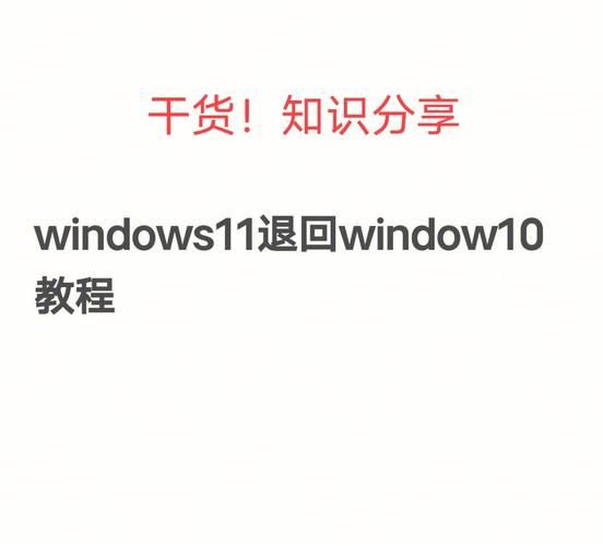 拯救者win11怎么退回win10？