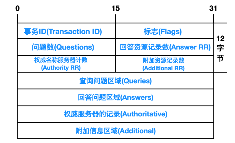 dns协议属于那一层