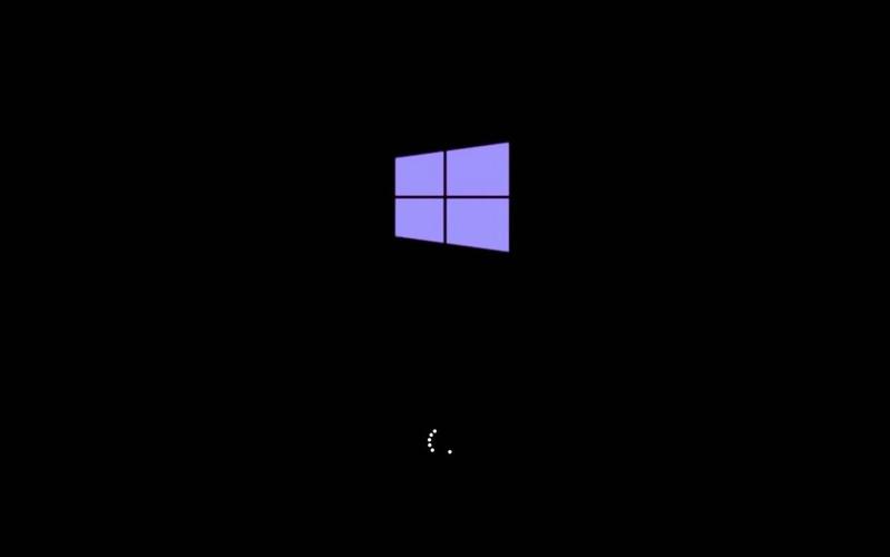 教你一招开启Windows11动画效果