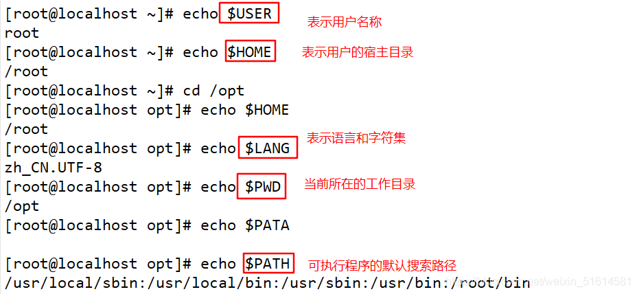 shell脚本基本命令