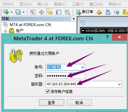 mt4要登录什么服务器